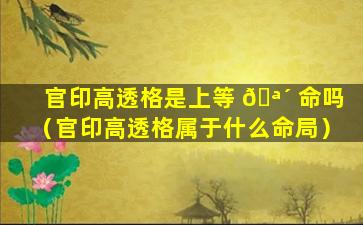 官印高透格是上等 🪴 命吗（官印高透格属于什么命局）